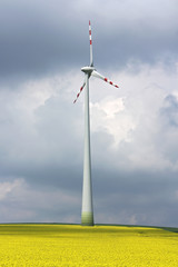 wind mill in the midle of agriculture field