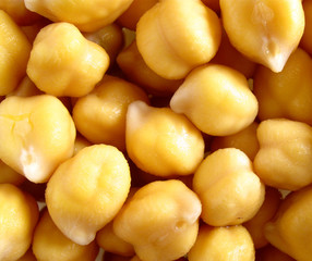 Close-up of wet yellow chick-peas