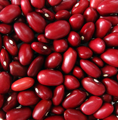 Dry red beans