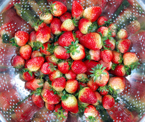 Strawberries in strainer © Baharlou