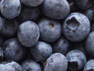 Blueberries