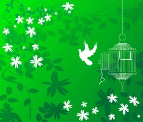 Crédence de cuisine en verre imprimé Oiseaux en cages fond floral vert