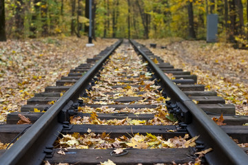 Railway in autumn forests