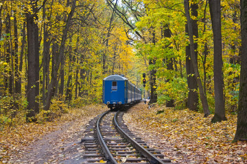 Railway and train in autumn forest
