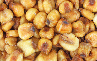 Close view of roasted salted corn nuts