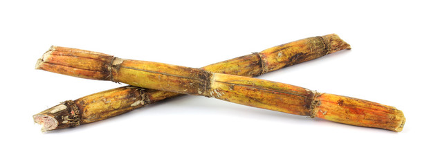 Two pieces of sugar cane stalks