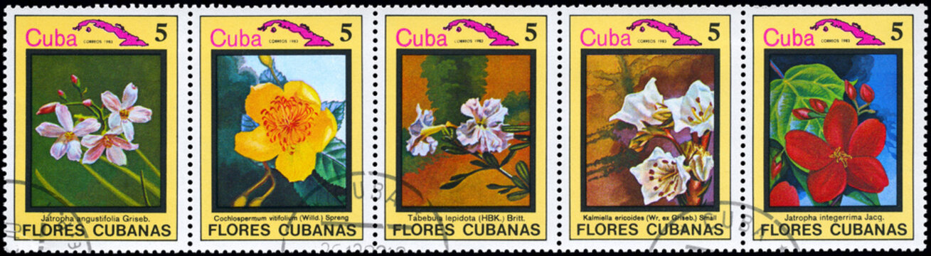 CUBA - CIRCA 1983 Cuban flowers