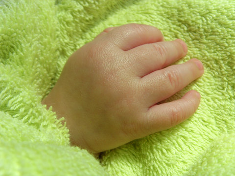 petite main de b&eacute;b&eacute;