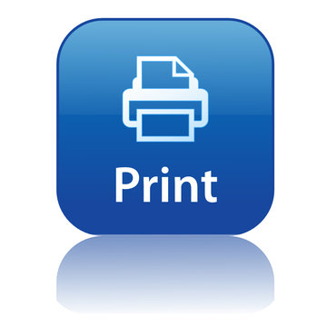 PRINT Web Button (printout printer now document ready go vector)