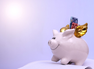 Fliegendes Sparschwein