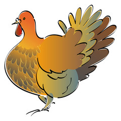 Perky turkey