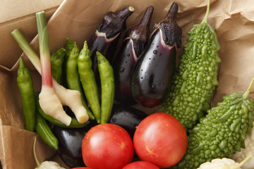 産地直送野菜　日本産野菜