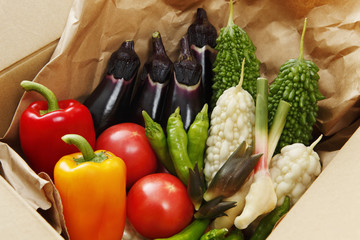 産地直送便　日本産野菜