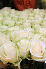 white roses