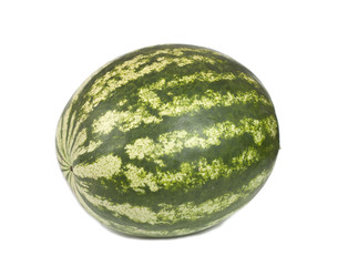 watermelon  isolated on the white background