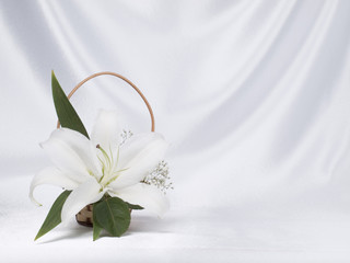 Lily   on a background white silk