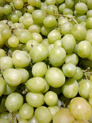 Ripe Green Grapes