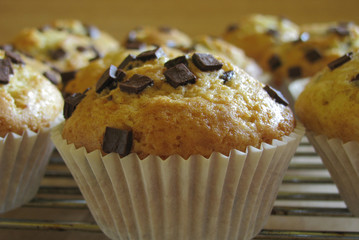 muffins with pieces of chocolate