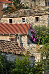 Fototapeta na wymiar Buildings in Lastovo, Croatia