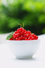 Johannisbeeren