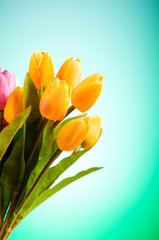 Bouquet of colorful tulips on the table