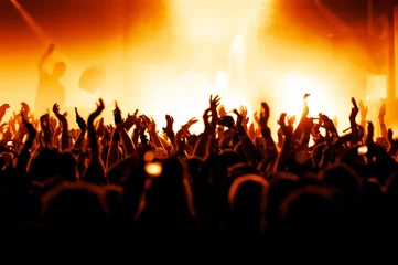 Zelfklevend Fotobehang Jubelnde Konzertbesucher auf Rock-Konzert © DWP