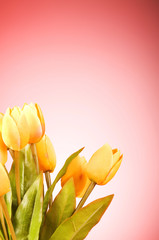 Naklejka premium Bunch of tulip flowers on the table