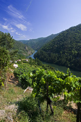 cañon del sil, orense, galicia