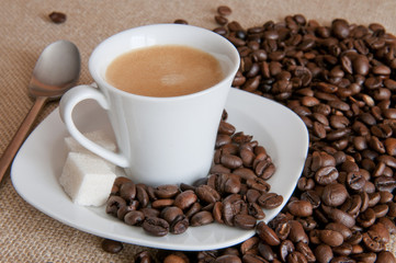 Café grains