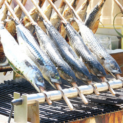 Fisch