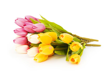 Colourful tulips isolated on the white background