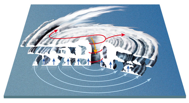 Cyclones, ouragans et typhons - Structure d'un cyclone