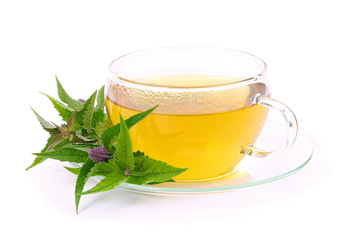 Tee Anisysop - tea agastache anisata 02