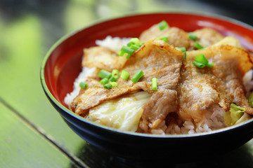 pork with rice