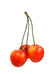 Cherries