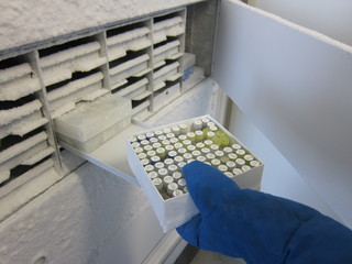 laboratory freezer for secure sample storage