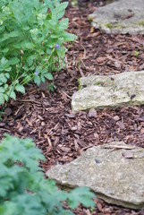 Rindenmulch zerkleinerte Baumrinde