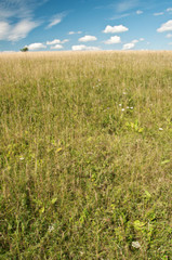 Wolken am blauem Himmel