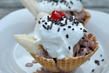 Sunday in a Waffle Bowl