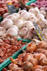 Ail, Oignons et Echalottes