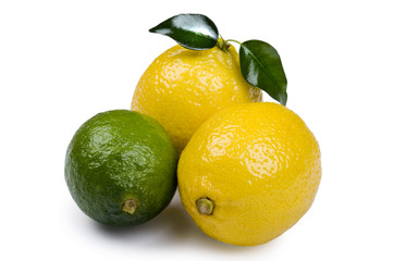 lime with lemon on white background