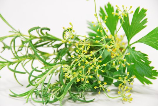 herbs