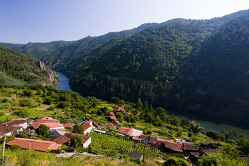 Fototapeta na wymiar rio sil, Galicja