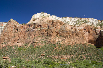 Fototapeta premium Zion Canyon National Park