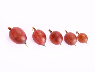 Red gooseberries in a raw on white background