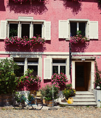 Fototapeta na wymiar pink house wall full of flowers, blue bicycle