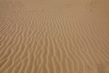 Wattenmeer
