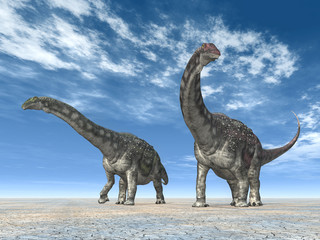 Obraz na płótnie Canvas Diamantinasaurus