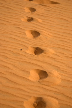 Footprint on a sand dune