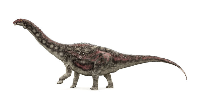 Diamantinasaurus